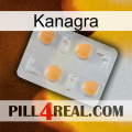 Kanagra 24